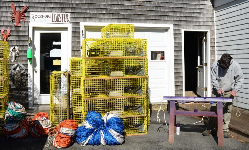 Devon Yaeger, who works with Rockport Lobster, paints the lobster trap lines with purple paint, preparing for the 2020 lobster season. The state and federal government this year is directing lobstermen to paint their lines in order to help determine whose — U.S., Canada — lines are prone to tangling around whales in the Gulf of Maine. (Photo by Lynda Clancy)