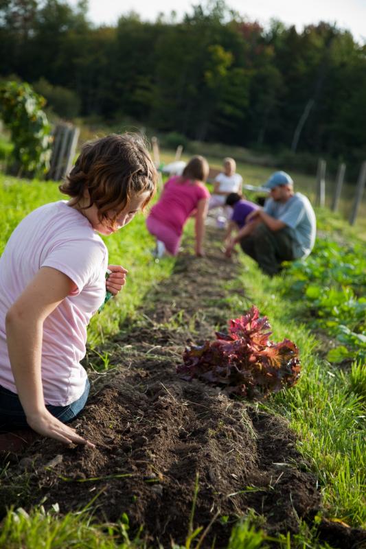 Farming at Erickson Fields