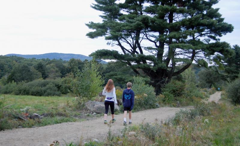 The walking trails at Erickson Fields lead into the woods and up toward Beech Hill.