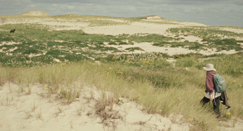 GEOGRAPHIES OF SOLITUDE, directed by Jacquelyn Mills. (Photo courtesy Camden International Film Festival)