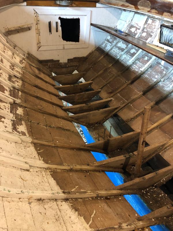 Wren’s original condition. (Photo courtesy Lisa Morgan)