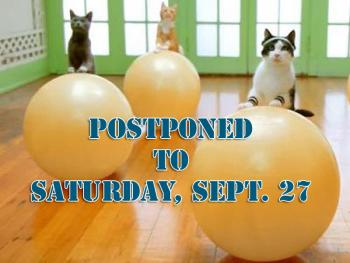 Want to see a video of a cat workout? You know you do. But you’ll have to wait until Sunday. Sept. 27 now, due to the weather this weekend, to see it and other cat videos at the Farnsworth Art Museum’s second annual Cat Festival and Fair. (Photo courtesy Farnsworth Art Museum)