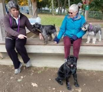 More social time at the dog park. (Photo courtesy of Julie Clement)