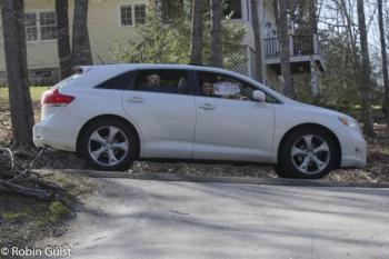 One of the many cars in the birthday parade. Notice the well behaved canine passenger in the back seat. (Photo courtesy of Robin Guist)