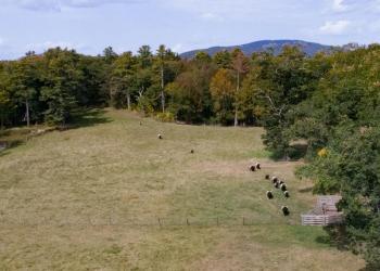 Aldermere Farm. (Photo courtesy Ken Woisard Photography)