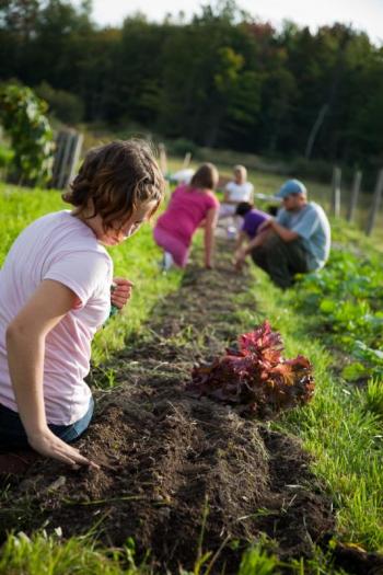Farming at Erickson Fields