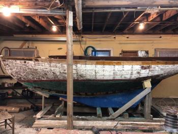 Wren, upon arrival in the shop. (Photo courtesy Lisa Morgan)
