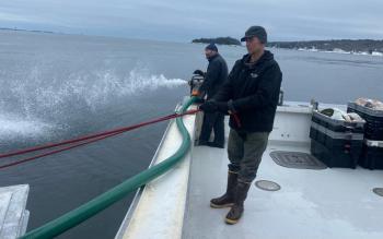Pumping and towing the Flying Pigs from Adam Scott’s lobster boat. (Photo courtesy Camden Harbor Master)