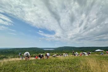 Blueberry harvesting on Beech Hill in Rockport. (Photo courtesy Jenny Roberts)