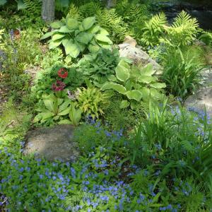 Country garden in Union on the GRLT garden tour. (Photo courtesy of Georges River Land Trust.)