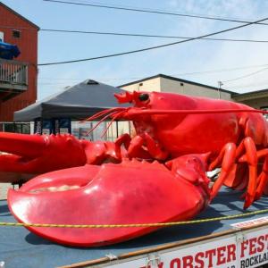 (Courtesy Maine Lobster Festival)