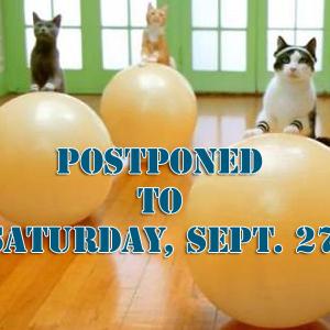 Want to see a video of a cat workout? You know you do. But you’ll have to wait until Sunday. Sept. 27 now, due to the weather this weekend, to see it and other cat videos at the Farnsworth Art Museum’s second annual Cat Festival and Fair. (Photo courtesy Farnsworth Art Museum)