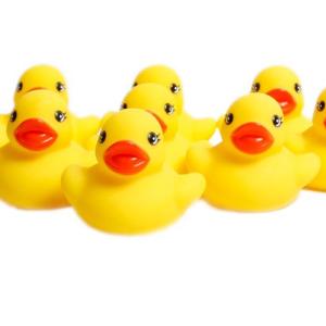 Rubber Duckies ready for the battle.
