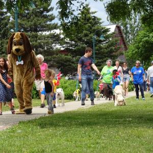 Petey the PAWS dog leads the parade. (photo by Erica Thoms)