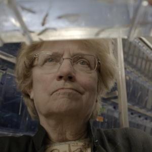 Picture A Scientist. (Photo courtesy Strand Theatre)
