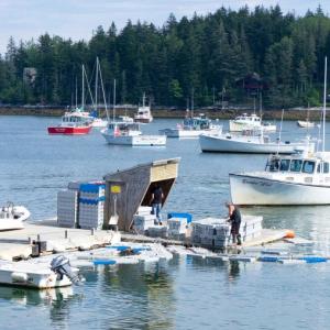 The working waterfront in Tenants Harbor. (Photo courtesy Island Institute)