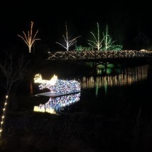 The reflection of light behind the moose appears to reflect the path he has traveled as part of Coastal Maine Botanical Gardens’ Gardens Aglow. STEVE EDWARDS/Boothbay Register