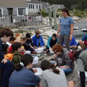(Photo courtesy Watershed School)