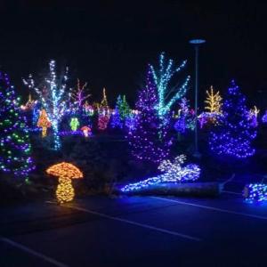 A section of Gardens Aglow at Coastal Maine Botanical Gardens, Boothbay. STEVE EDWARDS/Boothbay Register