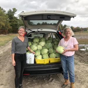 Kristen Hill of Falmouth, left, and Pam Lanz of Gorham help with gleaning at a local farm. (Photo courtesy of University of Maine Cooperative Extension)