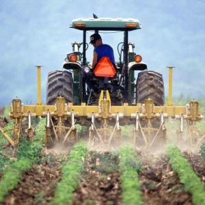 (Photo courtesy University of Maine Cooperative Extension)