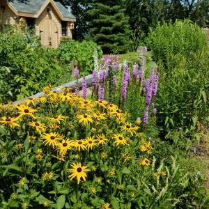 Wales Park Garden in Belfast. (Photo courtesy Waldo Soil & Water Conservation District)