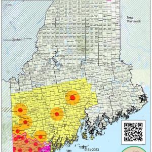 Maine Emerald Ash Borer detections and regulated areas as of March 31, 2023. (Photo courtesy Maine Forest Service)
