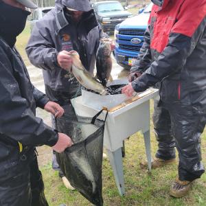 Boater’s final weigh-in at Moody’s Island, Damariscotta Lake. (Photo by Ferolyn Curtis)