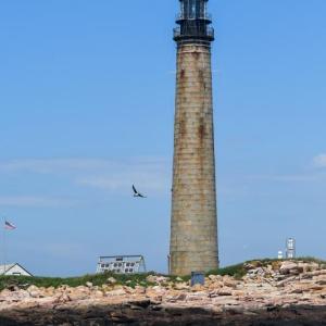 Petit Manan lighthouse with puffin in flight. (Photo by Linda Cunningham)