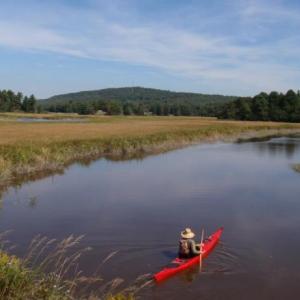 (Photo courtesy Belfast Bay Watershed Coalition)