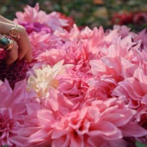 “Eat Flowers” a CIFF short film. Photo courtesy River Finlay