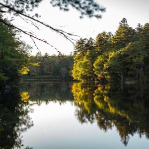 McLellan-Poor Preserve, in Northport. (Photo by Heather Pusey, of OPIA Creative)