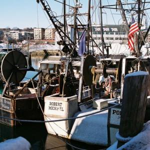 Maine fishing vessels, tied up at a Portland dock. (Photo courtesy Kate Shambaugh)
