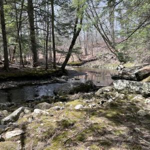 The Little River in Belfast, Maine. (Photo by Jeffrey Mabee)