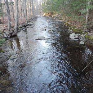 The Little River in Belfast, Maine. (Photo courtesy Aimee Moffitt-Mercer)