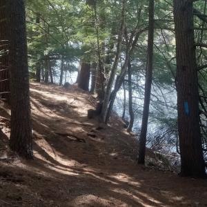 Little River Trail. (Photo by El Cholabels)