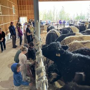 Aldermere's cattle barn. (Photo by Aaron Englander)