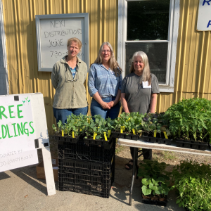 Master Gardener Volunteers Linda, Patty, and Mary distributing seedlings at the Volunteer Regional Food Pantry in Unity. (Photo courtesy Waldo County Bounty)