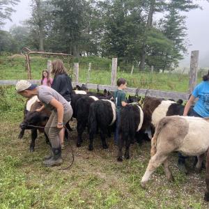 Aldermere Farm hands. (Photo by Leigh Pool)