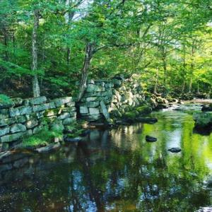 Main Stream Preserve. (Photo courtesy Coastal Mountains Land Trust)