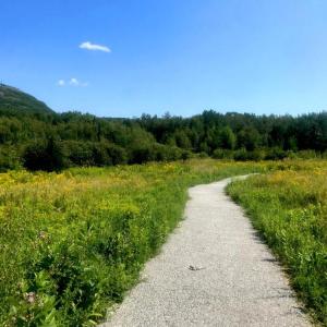 (Photo courtesy Coastal Mountains Land Trust)