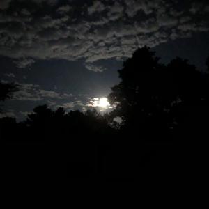 Moon over Merryspring. (Photo courtesy Merryspring Nature Center)