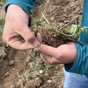 Examining soil. (Photo courtesy Merryspring Nature Center)