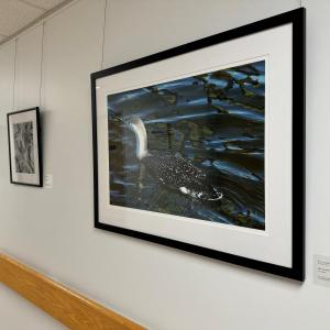 Work by artist Betsy Headley on display through Oct. 28, 2024 at Waldo County General Hospital. (Photo courtesy Waldo County General Hospital)