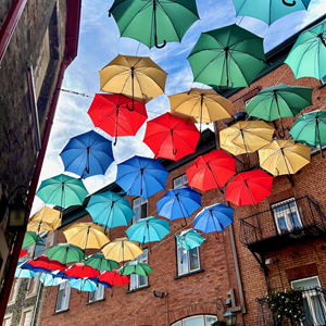“Enhancing Community in Belfast: Creative Placemaking” is one of
nineteen courses offered by Belfast Senior College in its fall 2024 semester. (Photo courtesy Belfast Senior College)