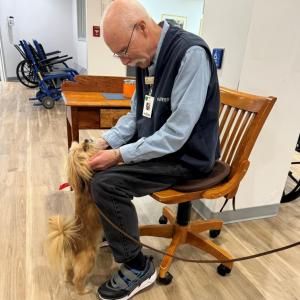 Waldo therapy dog Mr. Pips greets longtime hospital volunteer George Didelot inside the hospital’s main entrance. (Photo courtesy Waldo County General Hospital)