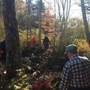 Meadow Brook Preserve. (Photo courtesy Coastal Mountains Land Trust)